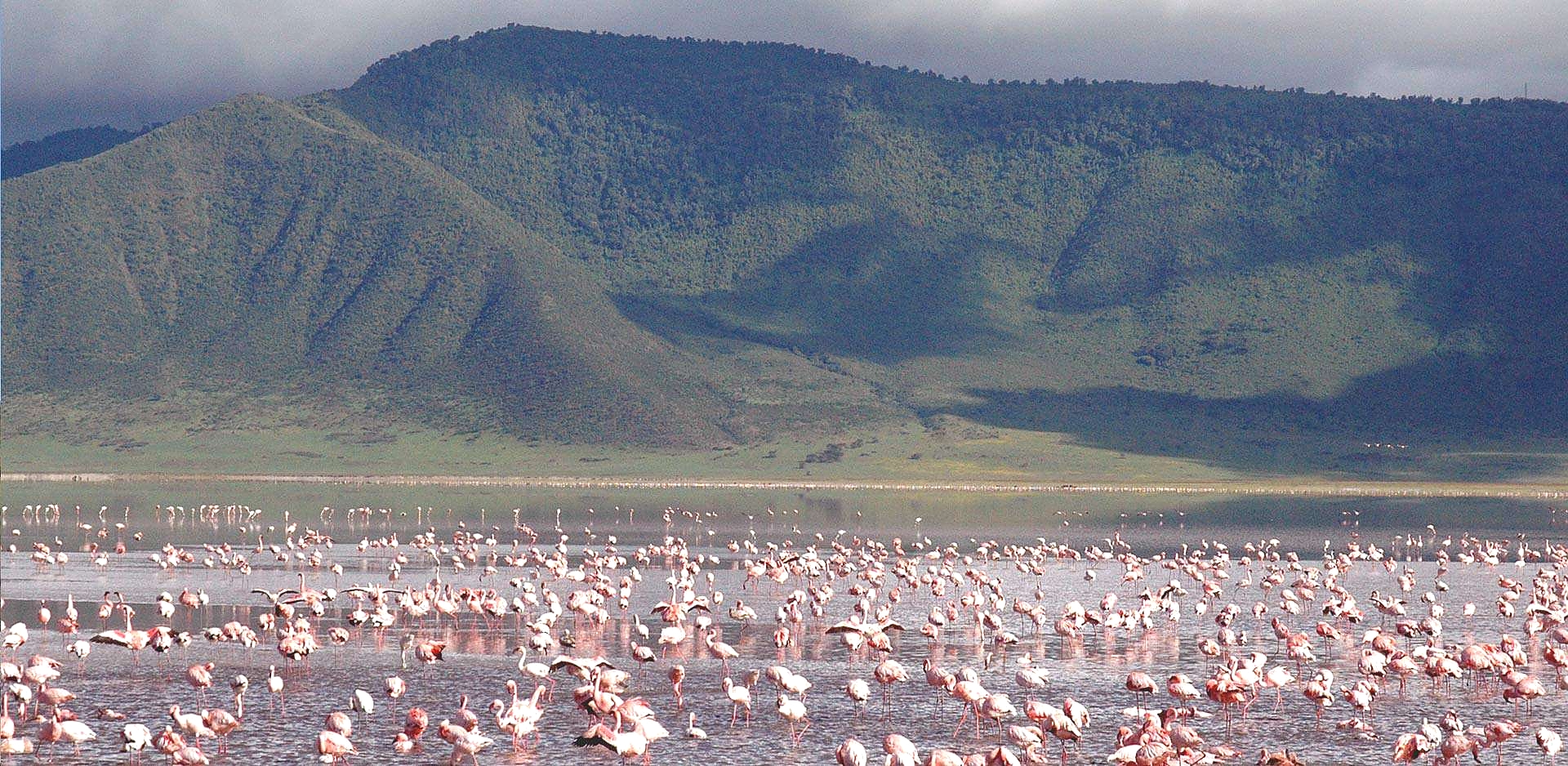 Bird Watching Safari in Ngorongoro